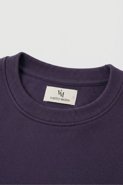 Vasto Moda Erkek Oversize Kalın Dokulu 3 İplik Şardonsuz Ribanalı Bisiklet Yakalı Basic Mor Sweatshirt