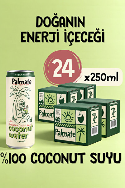PALMATE %100 Coconut Suyu Hindistan Cevizi Suyu 24x250 ML
