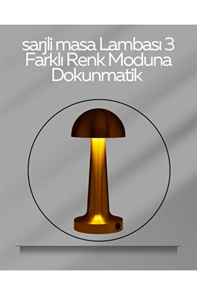 ARNEER Usb Şarjlı Dokunmatik Led Masa Lambası – 3 Renk Modu & Dimmer