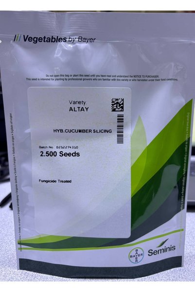 altay salatalık