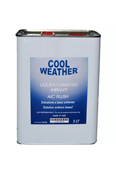 MAGNETI MARELLI Solutie curatat clima 5l