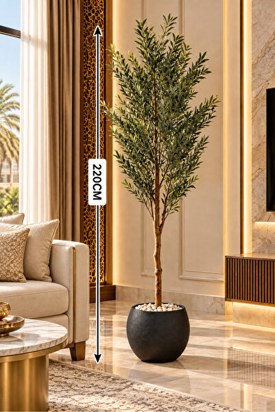 Generic Brand شجرة زيتون فروتفل إيمورتال بطول 220 سم في وعاء أسود كبير، تصميم...
