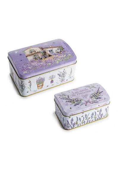 Decorer Set de 2 cutii de depozitare, metal multicolor, Lavandă 15.5 x 10 x 8...