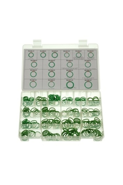 ERRECOM Set 100 o-ring pentru instalatie aer conditionat RK1048, 5 bucati/dim...