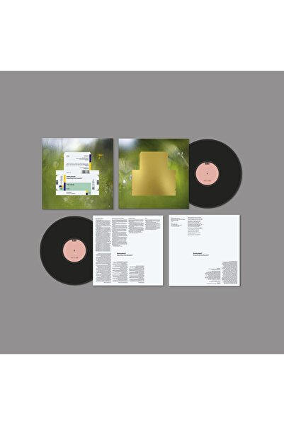 Bella Union Spiritualized - Everything Was Beautiful (Vinyl)