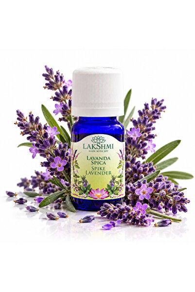 Lakshmi Ulei esential Lavanda Spica 10 ml, Lavandula Latifolia Oil, 100% pur ...
