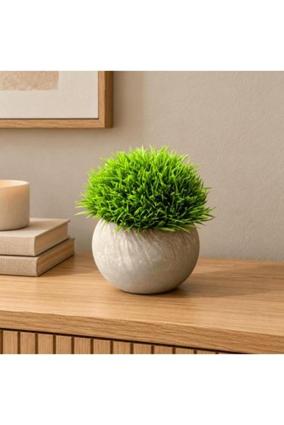 SPR وعاء نباتات اصطناعية