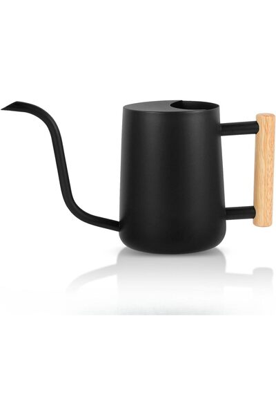 Arabest 35oz Stainless Steel Watering Can with Long Spout and Wooden Handle,1...