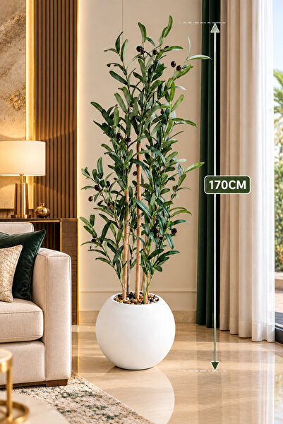 Generic Brand 5 نباتات زيتون فارا بريميوم بطول 170 سم مع وعاء زخرفي أبيض لغرف...