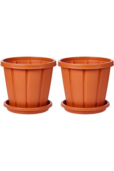 Cosmoplast Cedargrain 12" Flowerpot with Tray Set of 2