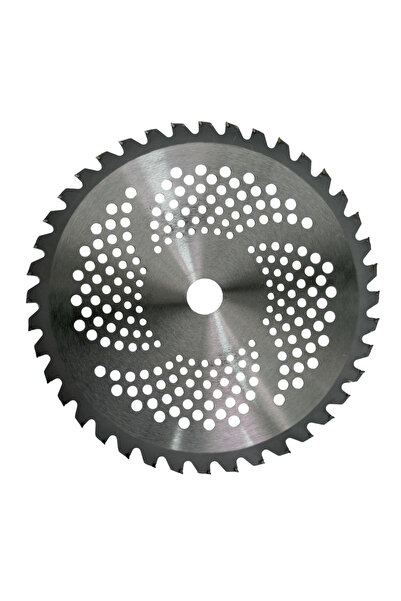 Raider Garden Tools Disc pentru motocoasa 40 TCT ø255x25.4 mm