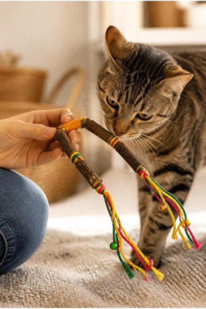 Busstier 3-Piece U-Shaped Matatabi Cat Toy, Natural Wooden Stick with Cotton Rope and Bell, Colorful