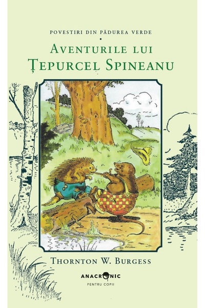 ANACRONIC Aventurile lui Tepurcel Spineanu. Seria Povestiri din Padurea Verde...