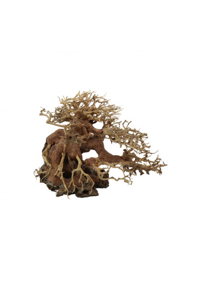 Natural Color Aquarium Decorative Natural Bonsai Driftwood Tree- 15-20Cm (Pc)