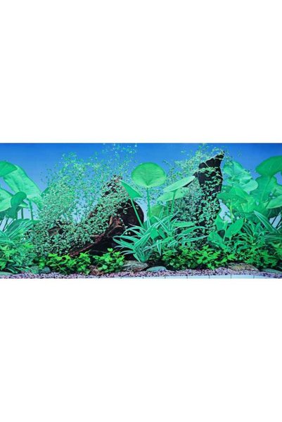 Kw Zone Aquarium Backscreen (Picture) 12"X15M[Model - F8]