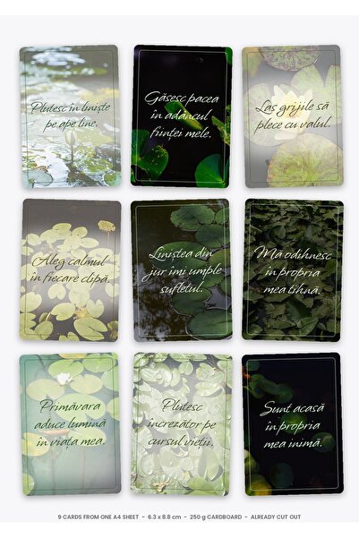 OEM Affirmation Cards Set Floating Water Lilies on Water, Motivation and Pers...
