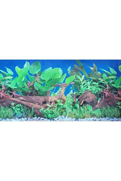 Kw Zone Aquarium Backscreen (Picture) 24"X15M[Model - F3]