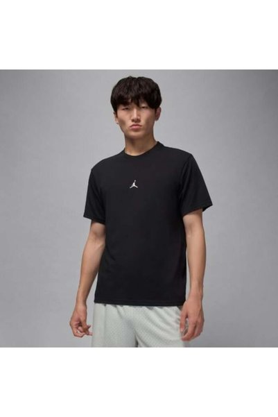 JORDAN Men's Training T-shirt _ IB6757-010