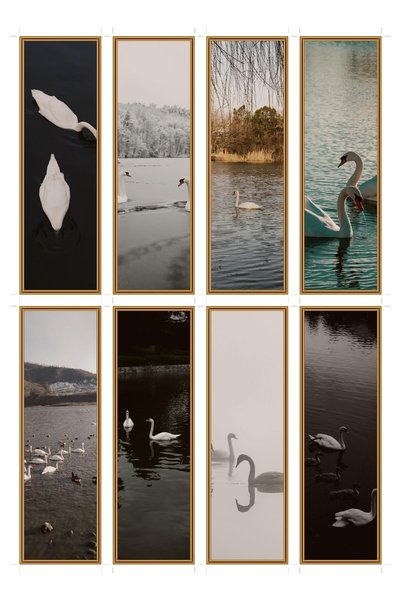 OEM Set 8 semne de carte Lacul Lebedelor, design elegant, carton premium