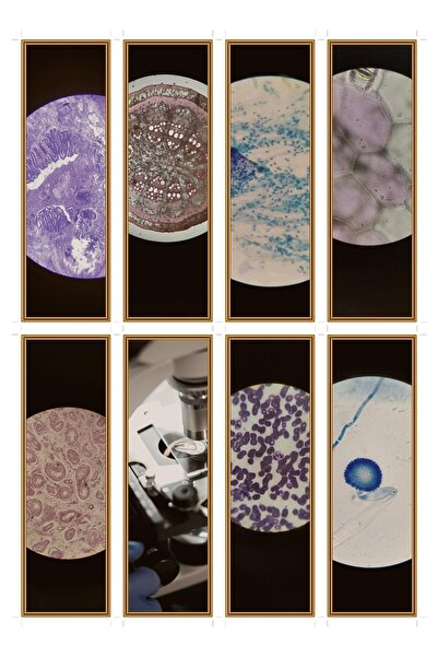 OEM Set 8 semne de carte vizual la microscop, design stiintific unic, carton ...