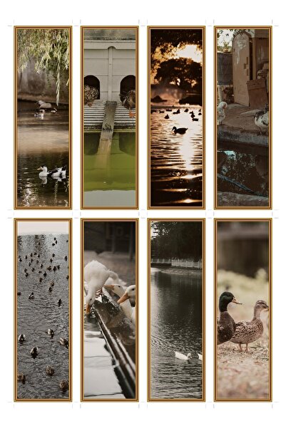 OEM Bookmarks Set of 8 Pieces with Duck Theme, Cute Illustrations, Premium Ca...