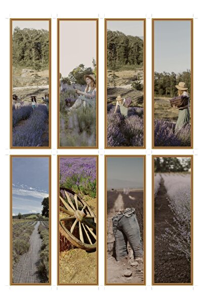 OEM Set 8 Semne de Carte Ferma de Lavanda, Design Floral Elegant, Carton Premium
