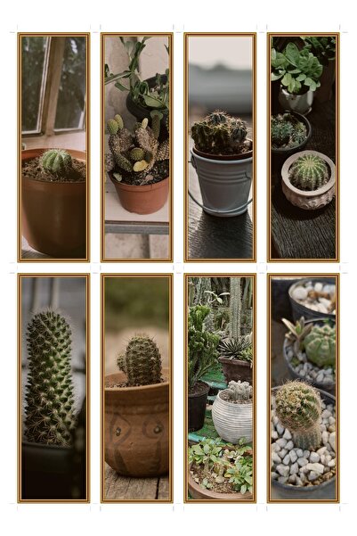 OEM Semne de Carte Set de 8 cu Ghiveci de Cactus, Design Adorabil, Carton Pre...