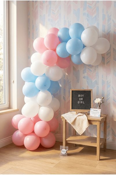Partixa Gender Reveal Gender Party Decoration Classic Set Girl or Boy Dark Gr...