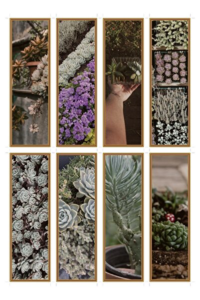 OEM Set 8 Semne de Carte Gradina cu Suculente, Design Floral, Carton Premium,...