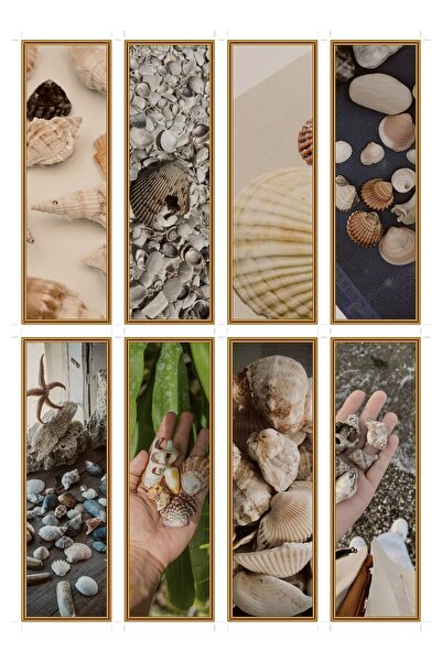 OEM Set 8 Semne de Carte Colectia Scoici, Design Elegant, Carton Premium, 5x1...