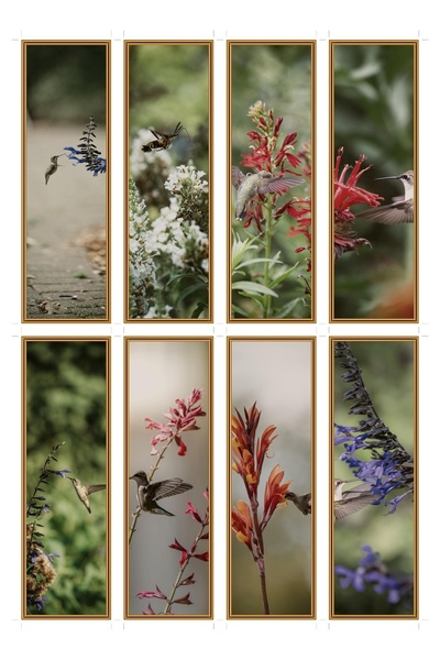 OEM Bookmarks Set of 8 Pieces, Hummingbird and Flowers Theme, Elegant Design,...