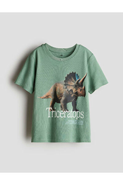 Evendi t-shirt, green