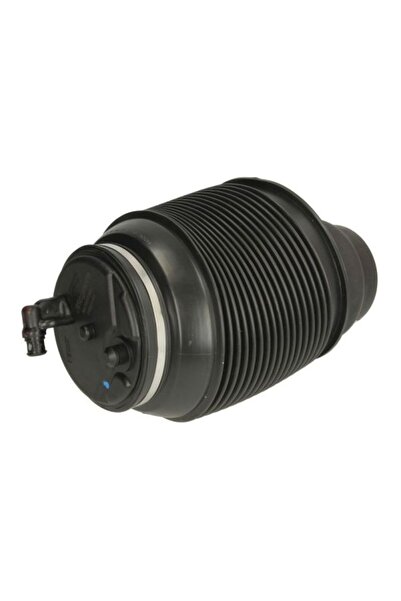 MAGNUM TECHNOLOGY MZT002MT Amortizor pneumatic