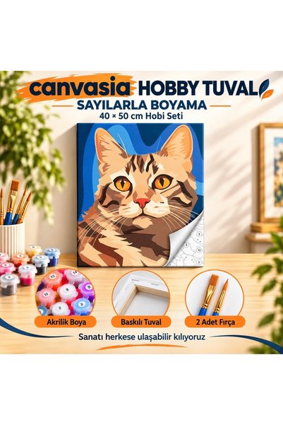 canvasia Sayılarla Boyama Numaralı Tuval Seti Boya Fırça Dahil 40x50 Cm Kedi ...