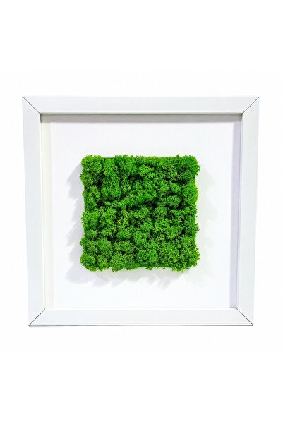 Ellis Garden Artă de perete cu licheni stabilizați, verde deschis, 23 x 23 cm