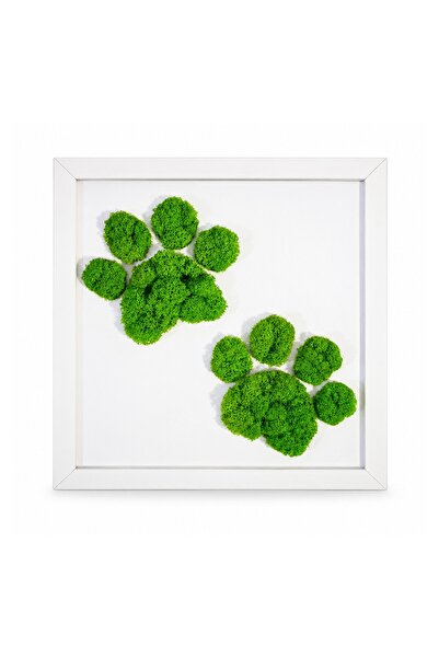 Ellis Garden Artă de perete cu licheni stabilizați, model Lăbuțe, 23 x 23 cm