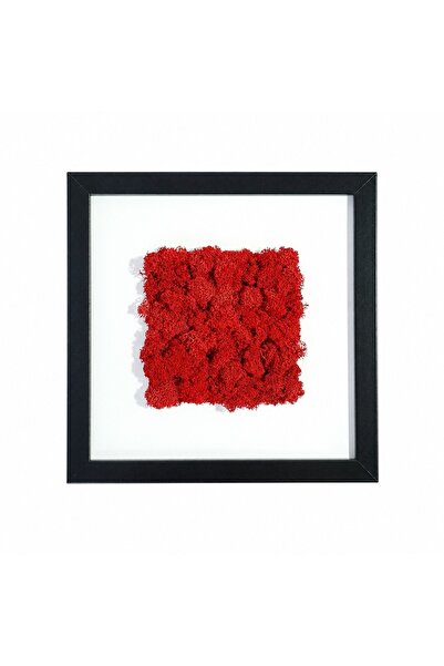 Ellis Garden Tablou cu licheni stabilizați roșu 23x23 cm