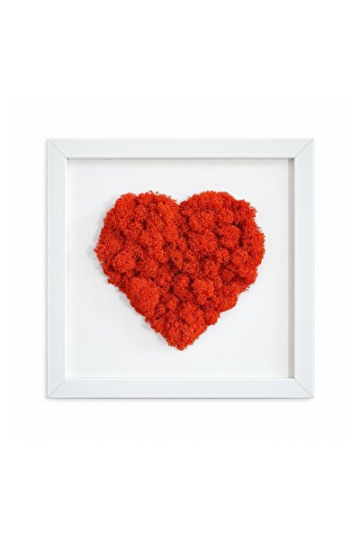 Ellis Garden Artă de perete în formă de inimă cu licheni stabilizați, 23 x 23 cm