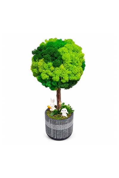 Ellis Garden Arbore decorativ 'Bunny' cu licență stabilizată, H35-37 cm