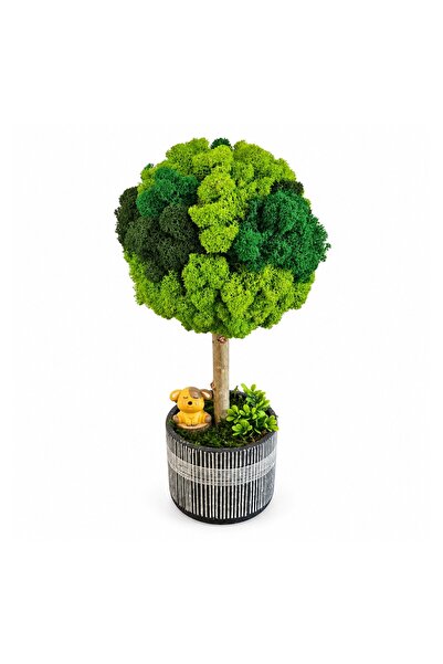 Ellis Garden Arbore decorativ 'Puppy' cu licheni stabilizați, H35-37 cm