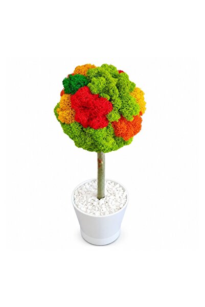 Ellis Garden Arbore decorativ cu licență stabilizată, H30-34 cm