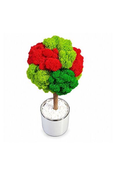 Ellis Garden Copac decorativ cu licență stabilizată, H24-26 cm