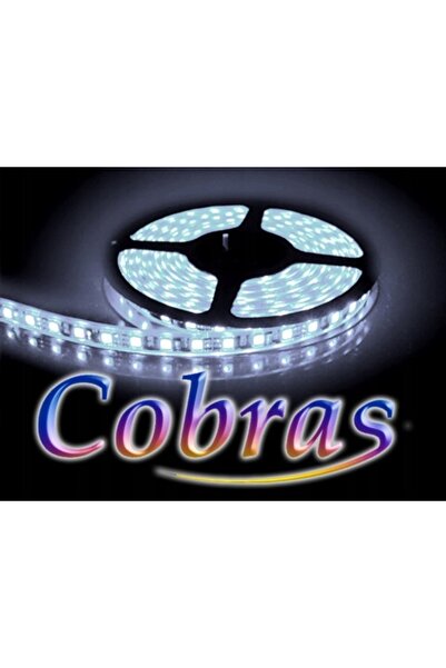 Bowi COBRAS 3528 bandă LED alb rece 5m/300 LED-uri