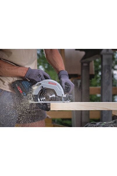 Bosch Pânză de ferăstrău circular pentru lemn 305x30mm 100 dinți