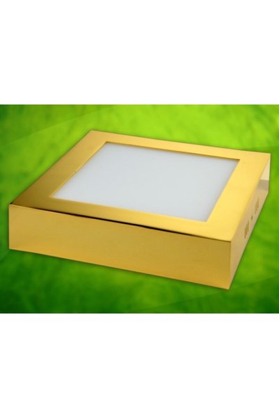 NO BRAND Panou LED Rektus 12W 230V auriu DW