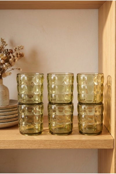 EVLE Set of 6 Acrylic Short Water Glasses 325 ml Embossed