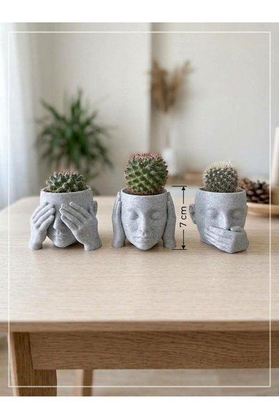 APİLOVA HOME 3'lü Görmedim Duymadım Bilmiyorum Saksı Takımı (7 cm)-Kaktüsler ...