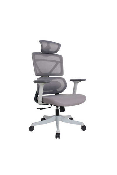 Adore Mobilya Pro-Tech Ultra Ergonomik Yönetici ve Çalışma Koltuğu - Gri 70x1...