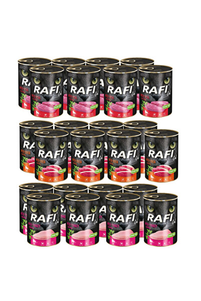 Dolina Noteci RAFI hrană pentru pisici, amestec de arome 24x400g