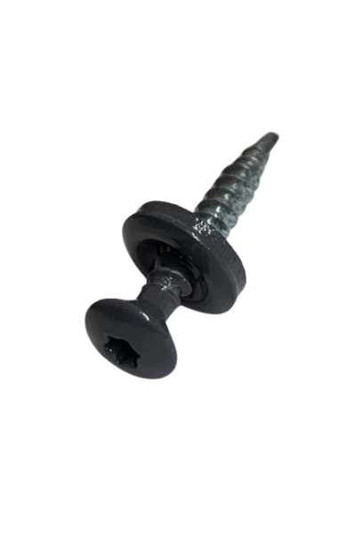 Etanco Șuruburi agricole pentru tablă 4,8x20 TORX RAL 7040 250 bucăți